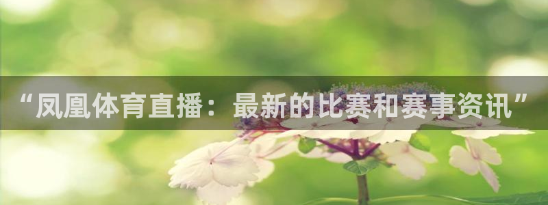 “凤凰体育直播：最新的比赛和赛事资讯”