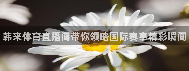 韩来体育直播间带你领略国际赛事精彩瞬间